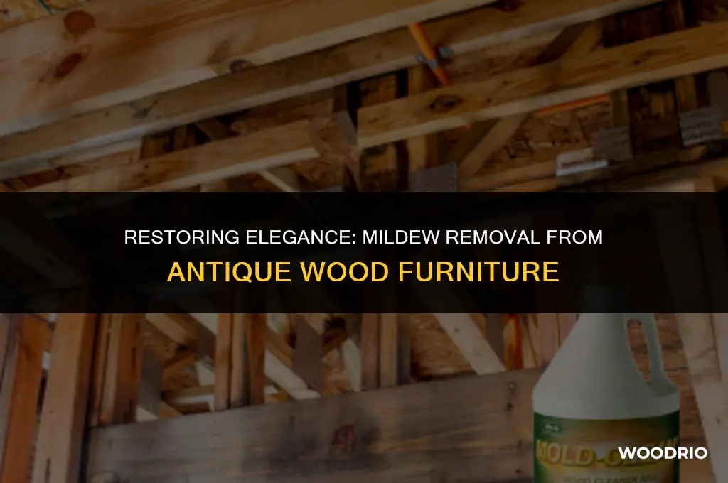 how to clean mildew off antique wood furniture