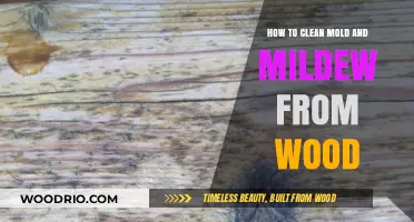 Effective Methods to Remove Mold and Mildew from Wood Surfaces
