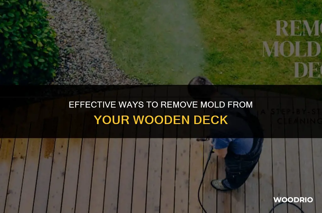 how to clean mold off wood deck
