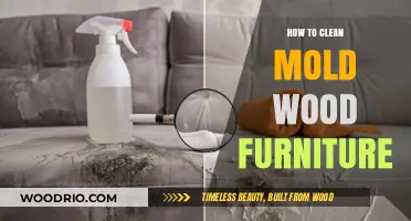 Reviving Your Wooden Treasures: A Guide to Mold-Free Furniture