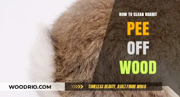 Effective Tips for Removing Rabbit Urine Stains from Wood Surfaces