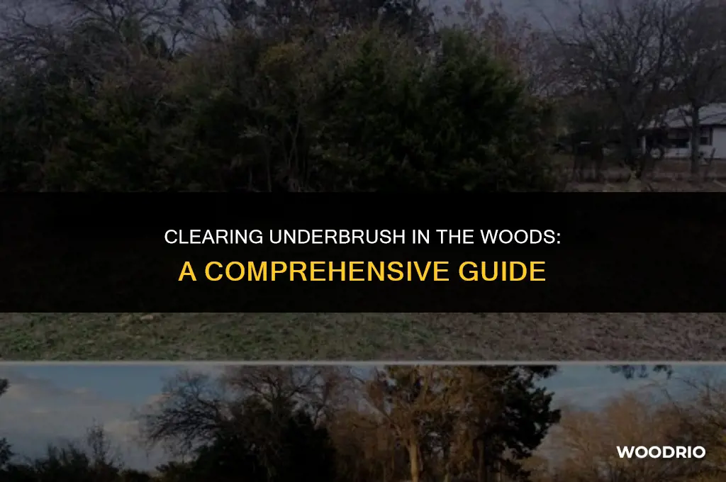 how to clear underbrush in woods