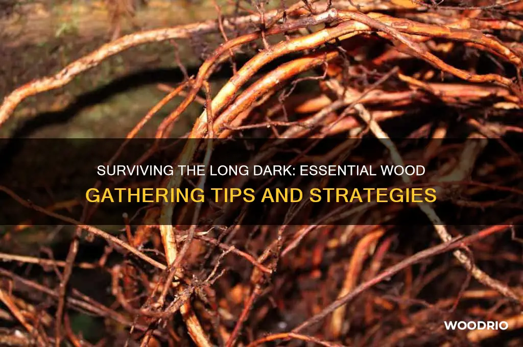 how to collect wood in the long dark