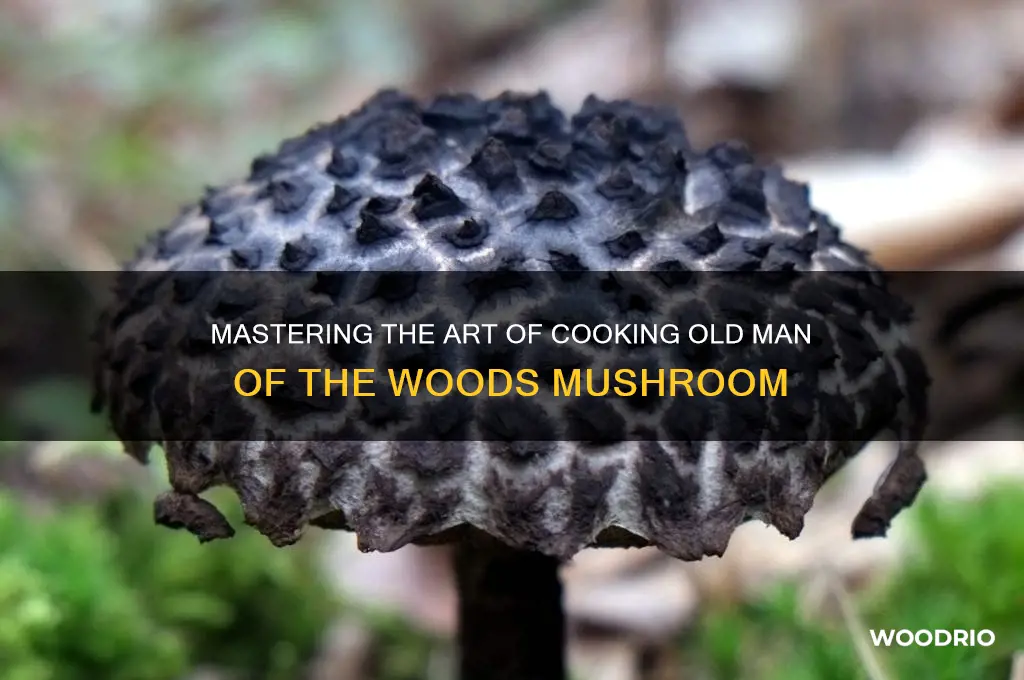 how to cook old man of the woods