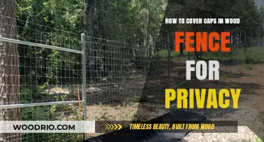 Enhancing Privacy: Creative Solutions for Gaps in Wood Fences