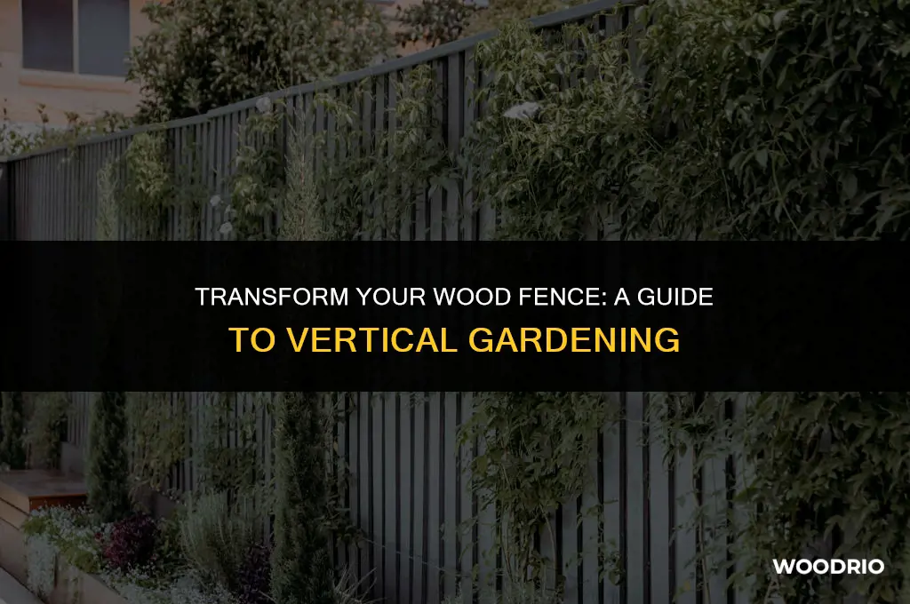 how to cover wood fence with plants
