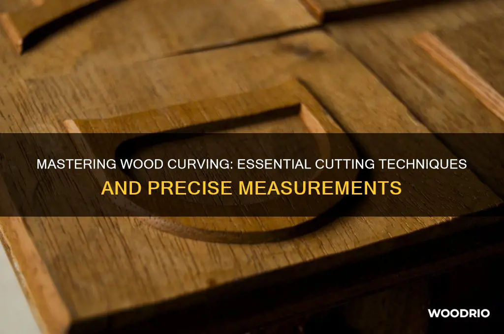 how to curve wood buy cuts and what measurement