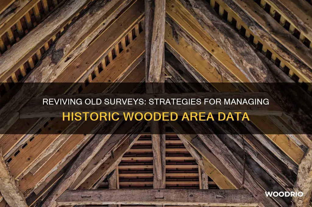 how to deal with old surveys of wooded areas