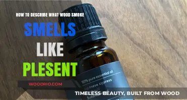 Capturing the Essence: Describing the Pleasant Aroma of Wood Smoke