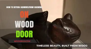 Protect Your Wood Door: Effective Squirrel Deterrent Tips