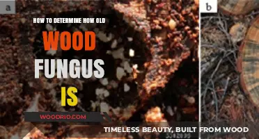 Identifying the Age of Wood Fungus: A Comprehensive Guide