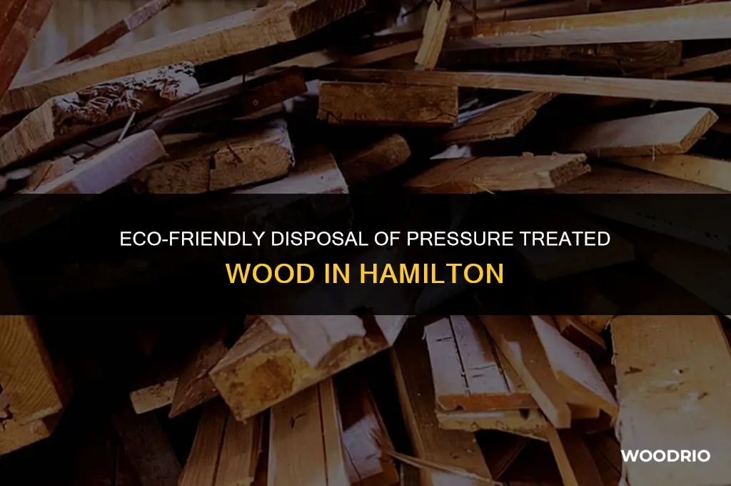 how to dispose of pressure treated wood in hamilton