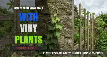 Transform Your Wood Fence: A Guide to Dressing it with Viny Plants