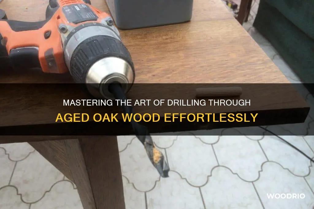 how to drill through old oak wood