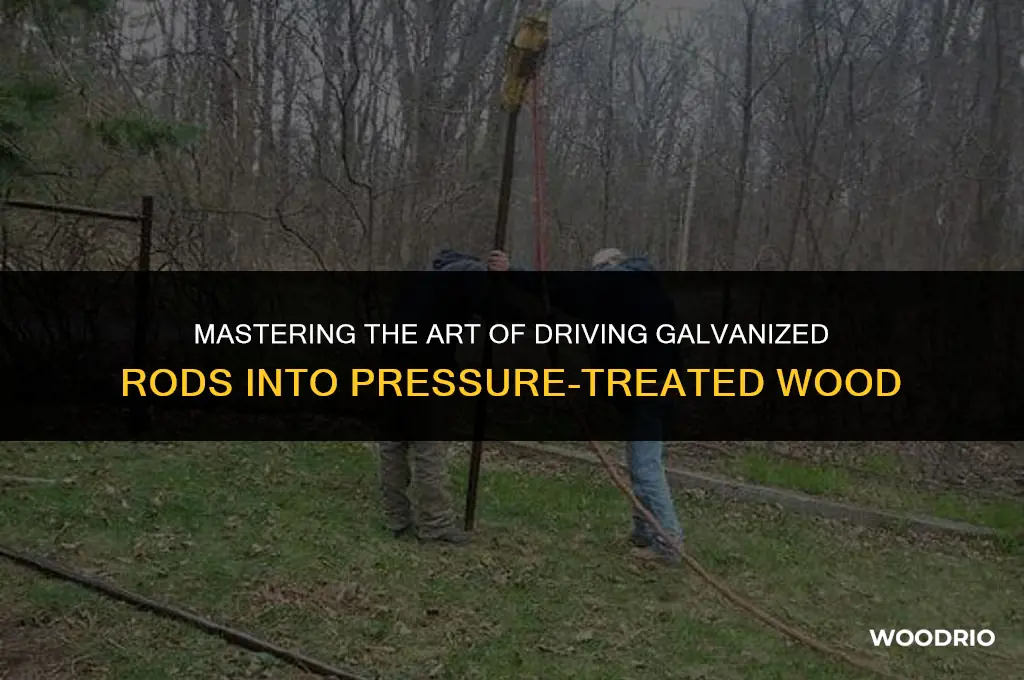 how to drive galvanized rod into pressure treated wood