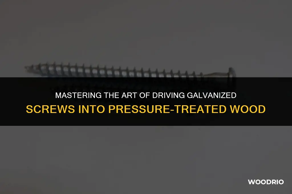 how to drive galvanized screw into pressure treated wood