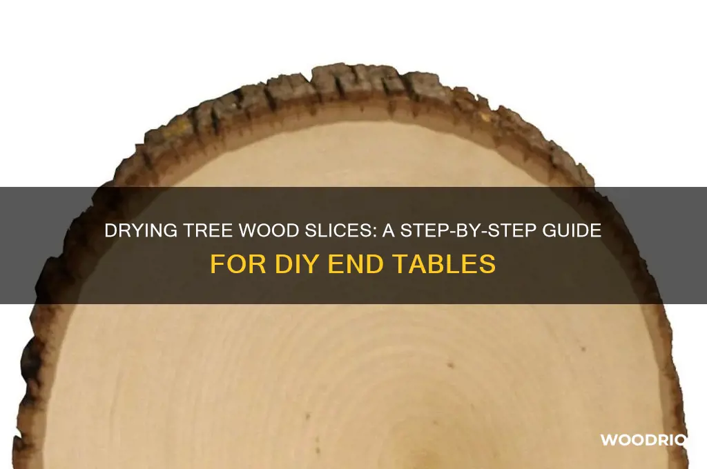 how to dry tree wood slices for end tables