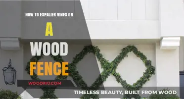 Mastering the Art of Espalier: Vines on a Wooden Fence