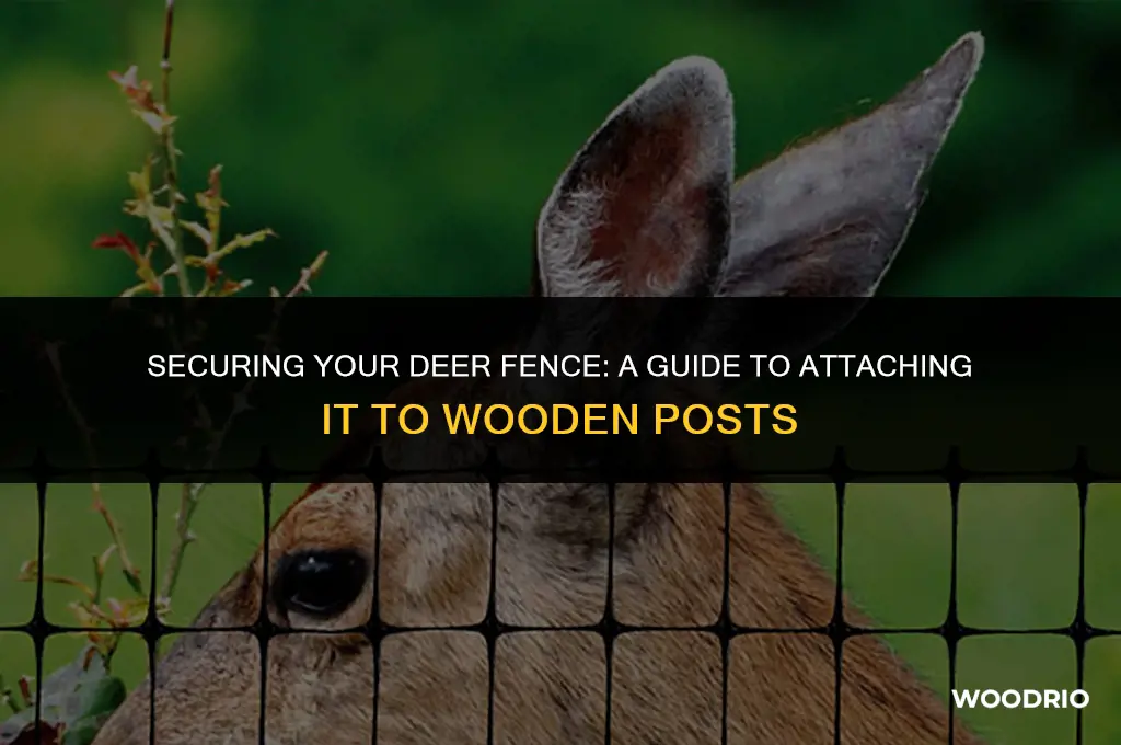 how to fasten deer fencing to wood