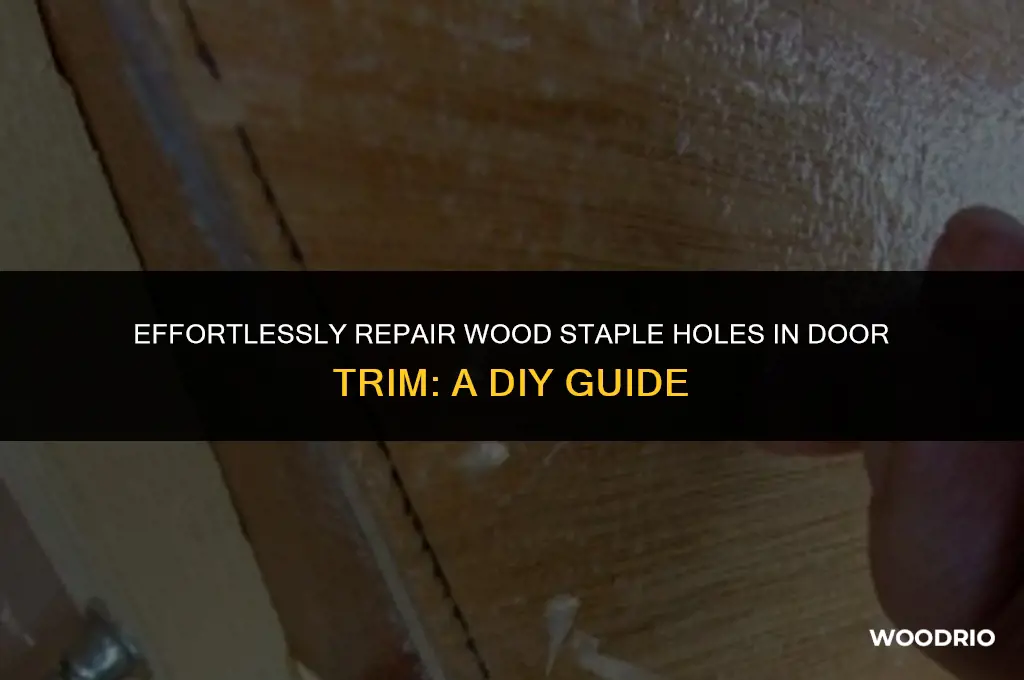 how to fill in a wood staple hole door trim