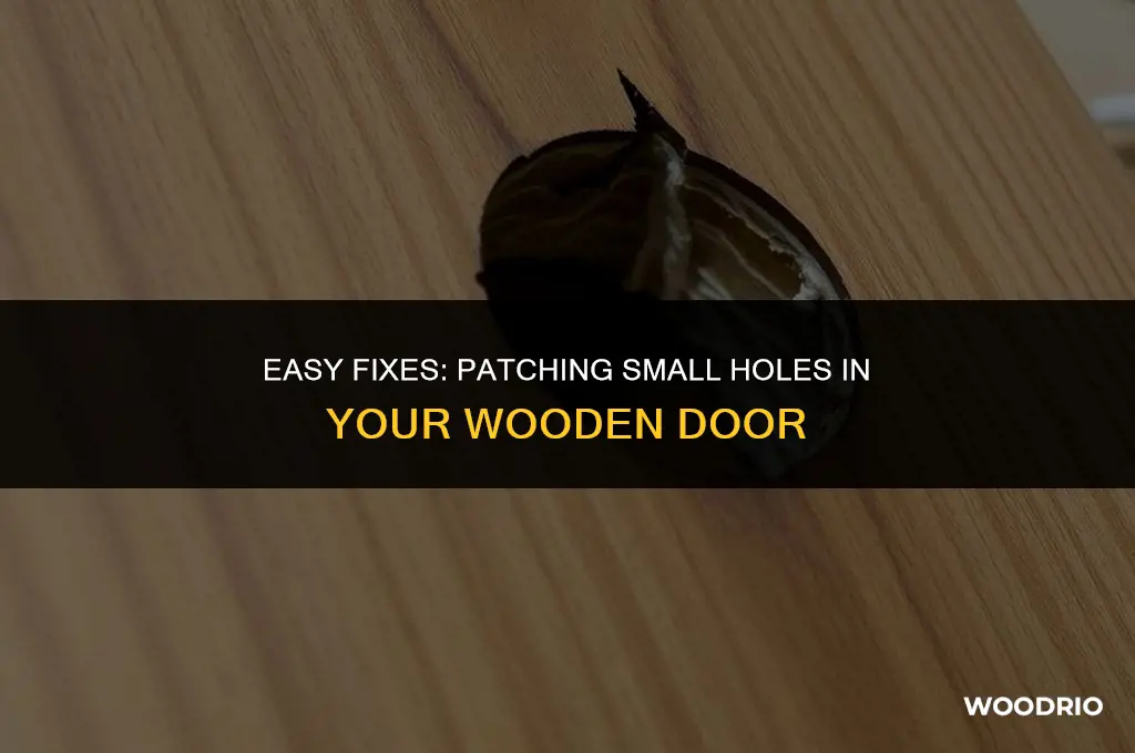 how to fill in small holes in wooden door