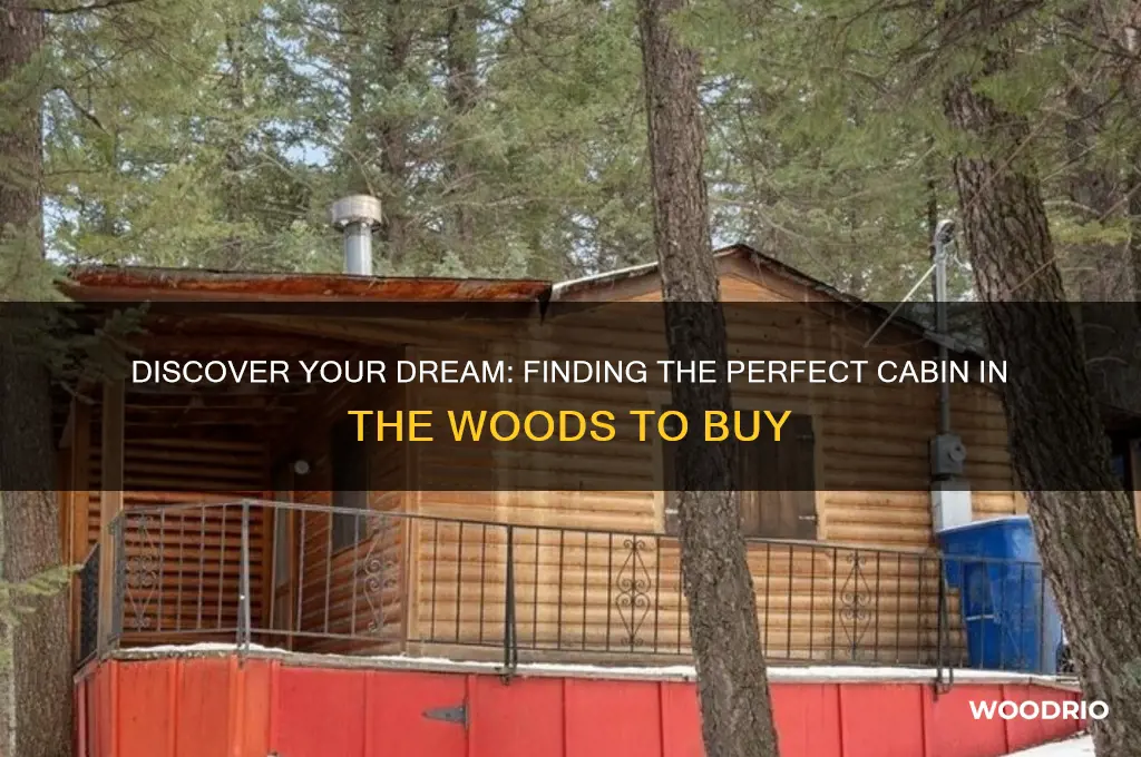 how to find a cabin in the woods to buy