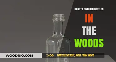 Discovering Hidden Treasures: Tips for Finding Old Bottles in the Woods