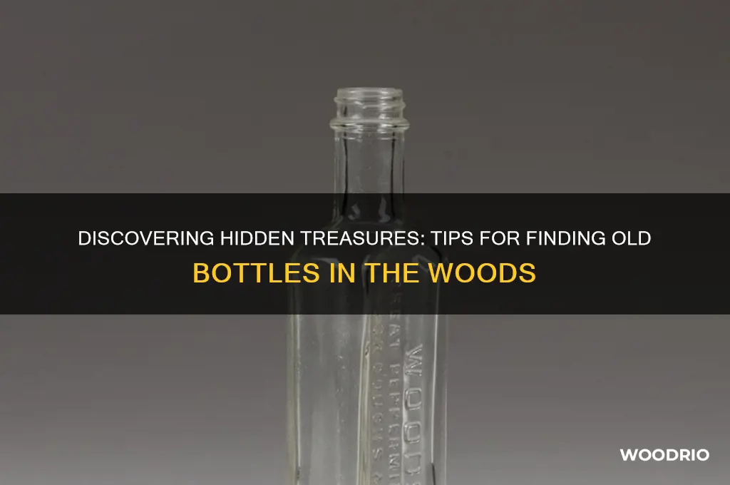 how to find old bottles in the woods