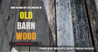 Identifying Species in Old Barn Wood: A Comprehensive Guide