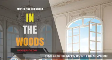 Uncovering Hidden Treasures: A Guide to Finding Old Money in the Woods