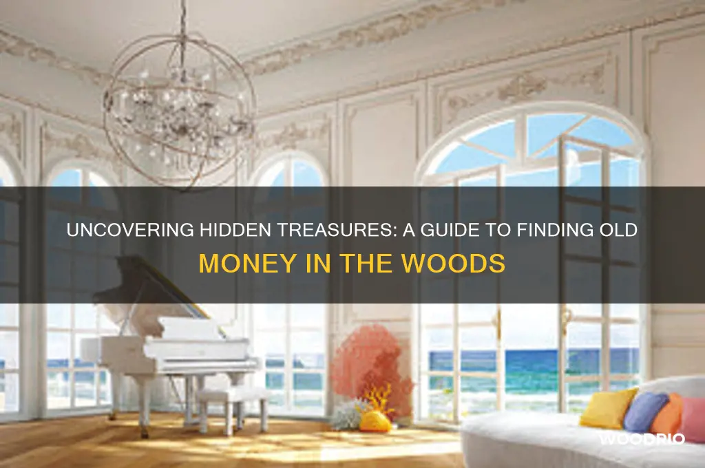 how to fine old money in the woods