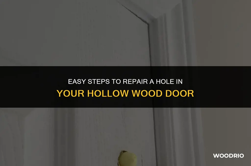 how to fix a hole in a hollow wood door