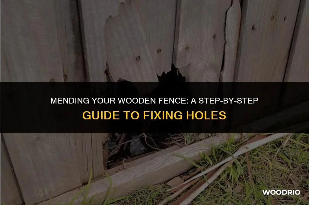 how to fix holes in bottom of wood fence