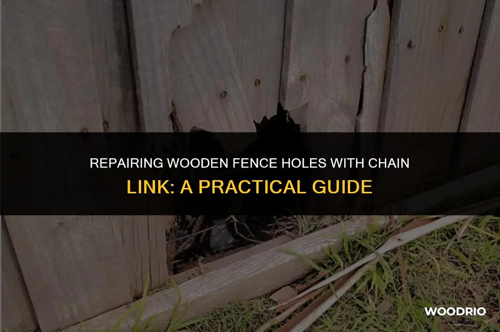 how to fix holes wooden fence with chain link