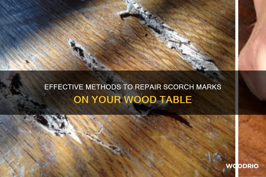 how to fix scorch marks on wood table