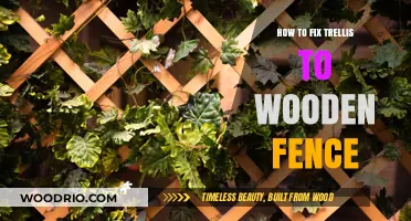 Secure Your Trellis: A Guide to Attaching It to a Wooden Fence