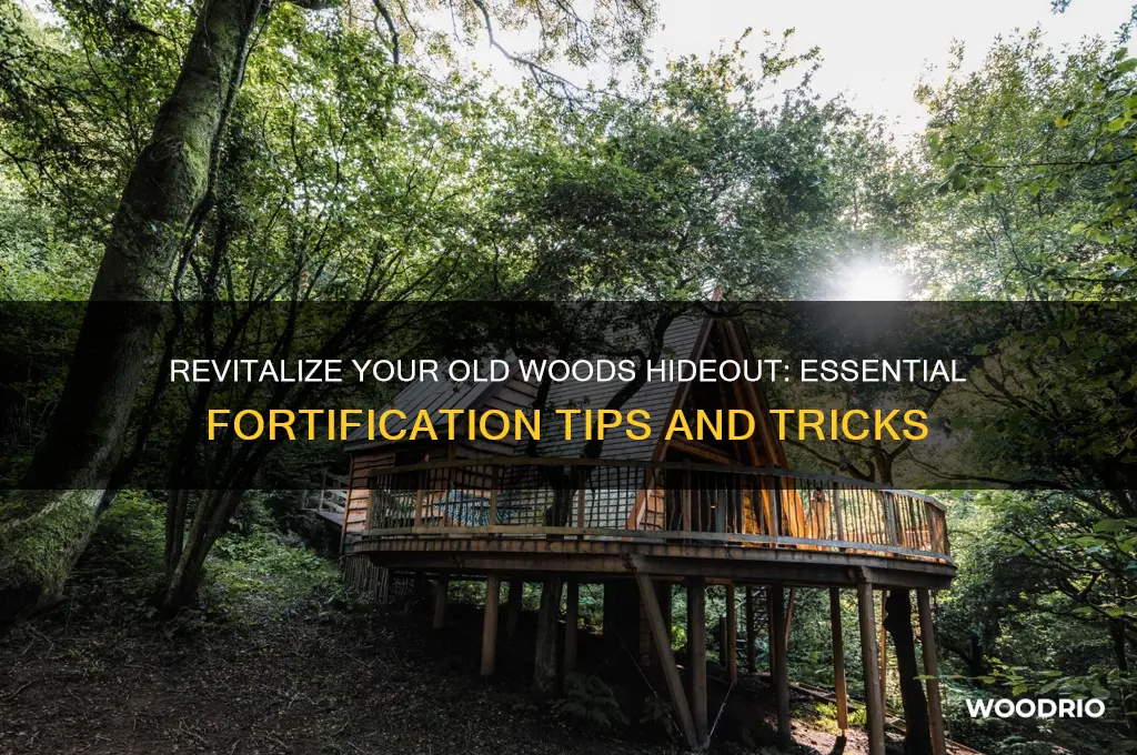 how to fortify old woods hideout