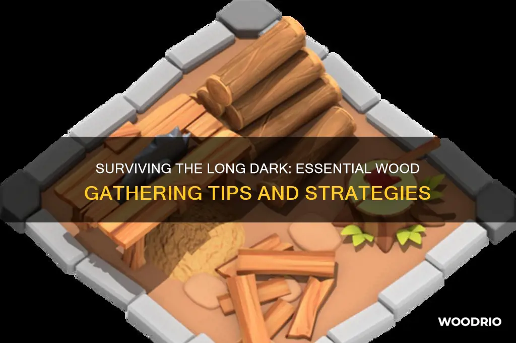 how to gather wood long dark