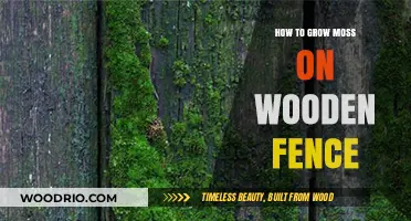Cultivating Lush Moss on Your Wooden Fence: A Comprehensive Guide