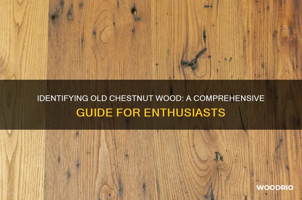 how to identify old chestnut wood