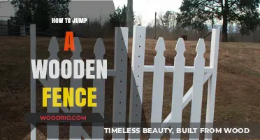Equestrian Elegance: Mastering the Art of Jumping Wooden Fences