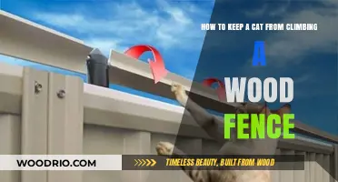 Feline Fence-Proofing: Strategies to Keep Your Cat Contained