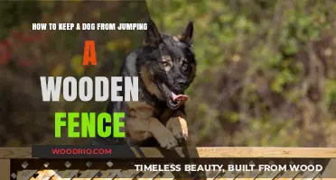 Effective Tips to Prevent Your Dog from Jumping Over a Wooden Fence