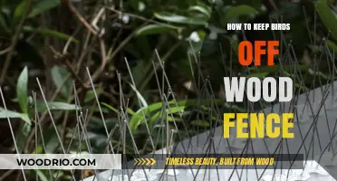 Effective Strategies to Deter Birds from Your Wooden Fence