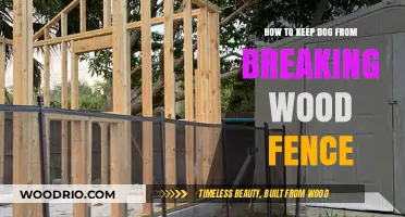 Preventing Your Dog from Damaging Your Wooden Fence