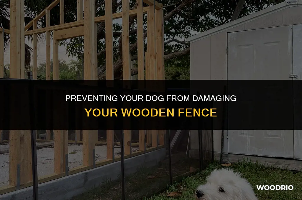 how to keep dog from breaking wood fence