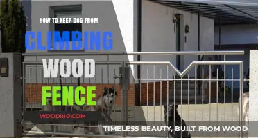 Preventing Your Dog from Scaling the Wooden Fence: Tips and Tricks