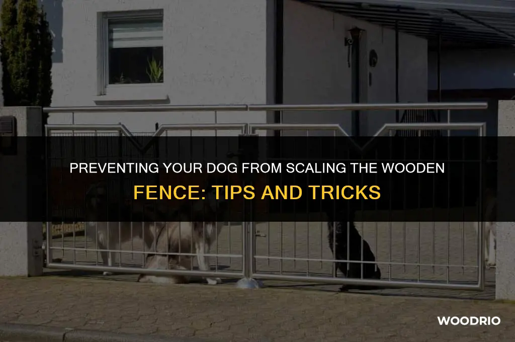 how to keep dog from climbing wood fence