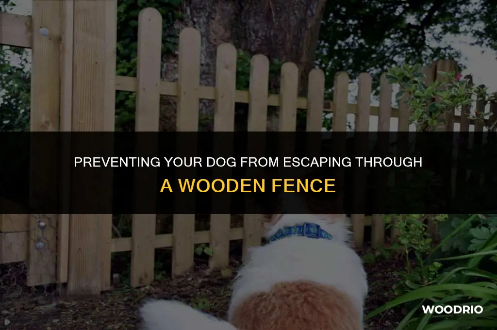 how to keep dogs from going throjgh wooden fence