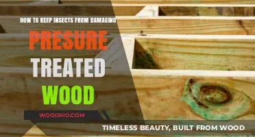Protecting Pressure-Treated Wood: A Guide to Insect Prevention
